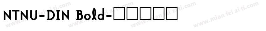 NTNU-DIN Bold字体转换